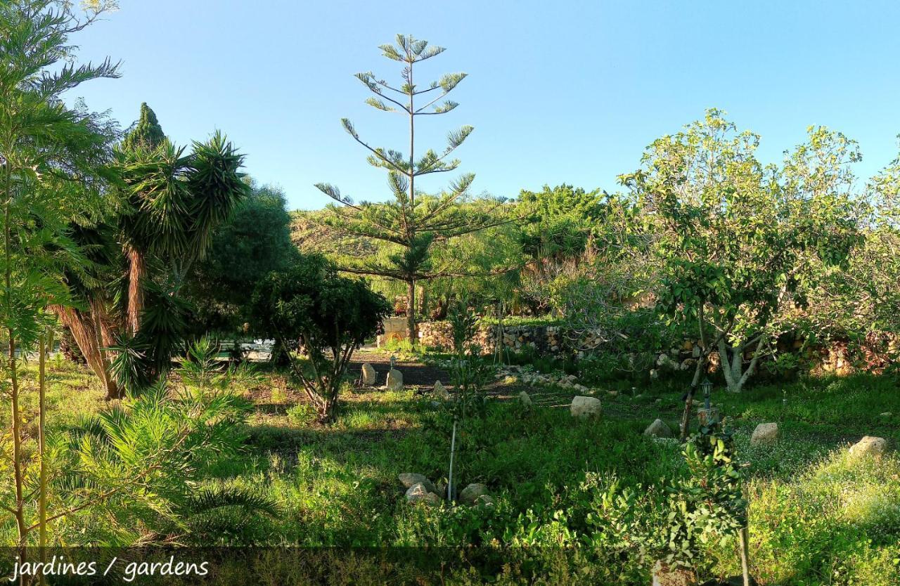 Live Finca San Miguel San Miguel de Abona Exterior foto